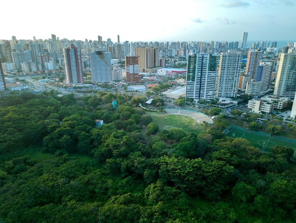 Location cactus pour sublimer vos soirées