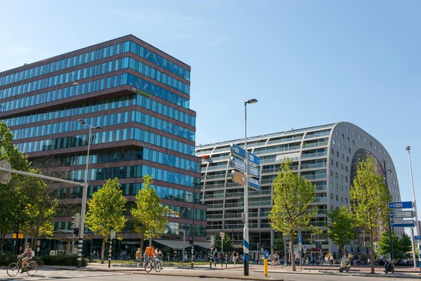 Services d'Élimination de nids de guêpes et frelons à valence